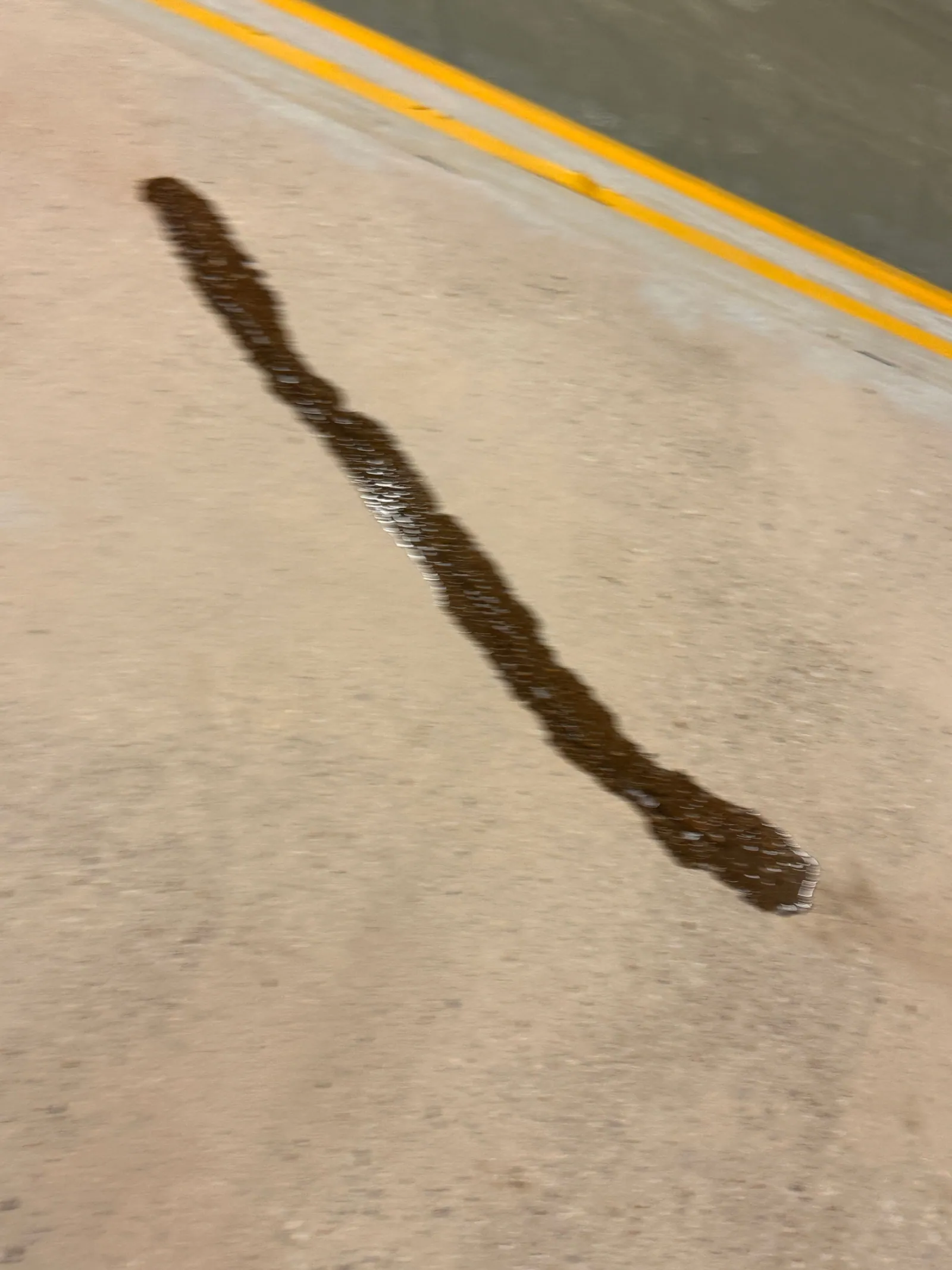 Ein mit Harz verfüllter Riss zieht sich dunkel über den Hallenboden neben einer gelben Markierung.